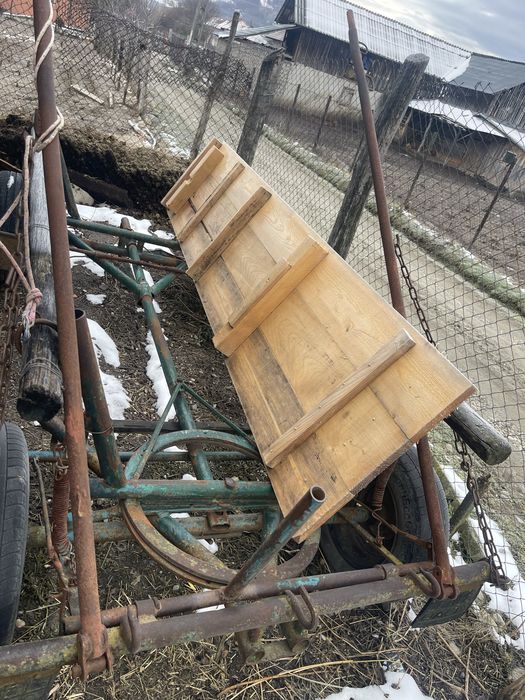 Caruta de in cal si doi