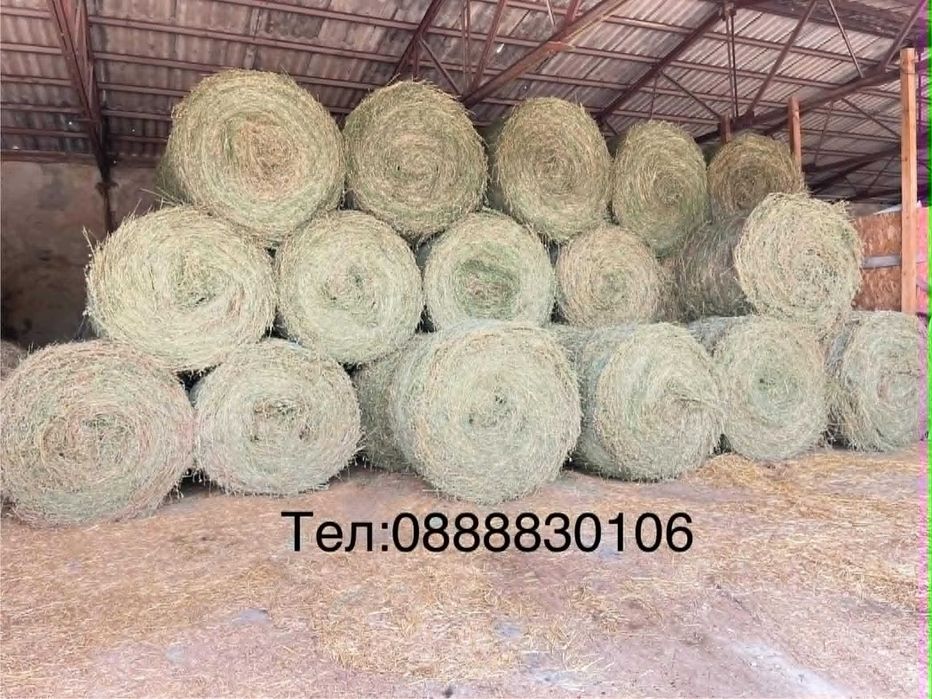 Бали люцерна Реколта 2026