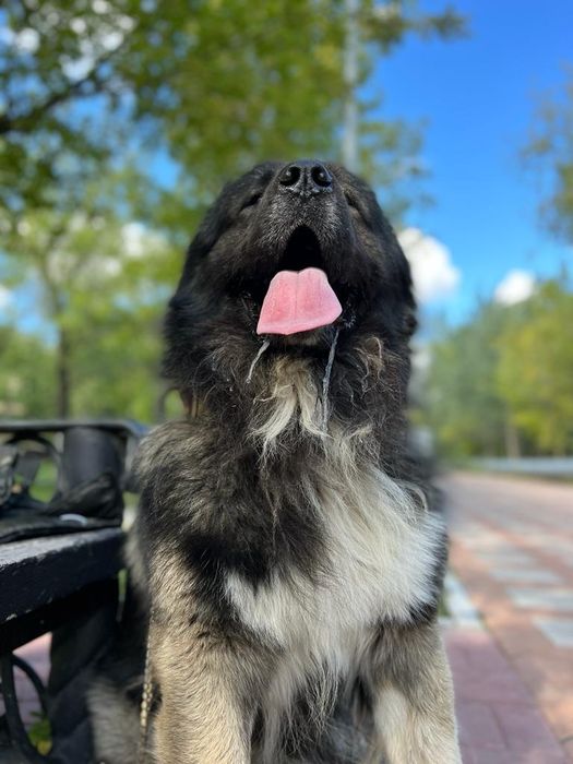Вязка. Кабель. Хорошая родословная