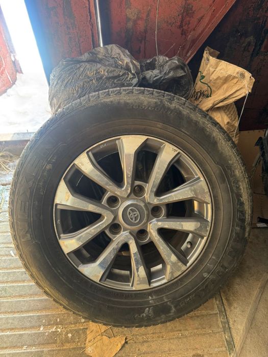 Продается шины с титанками