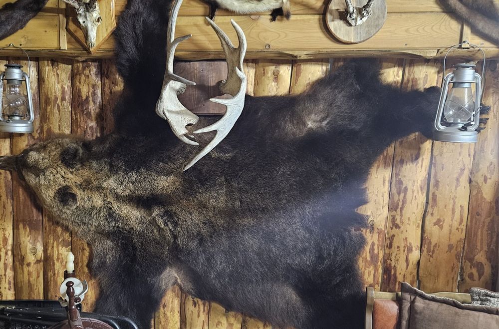 Продам чучело медведя