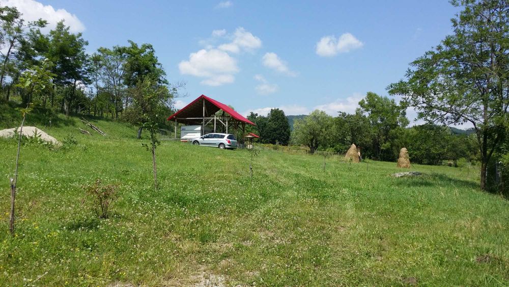 Pamant Intravilan 5 000mp Bradetu Argeș - asfalt, curent, apa, acte, pomi fructiferi, fantana - drenaj