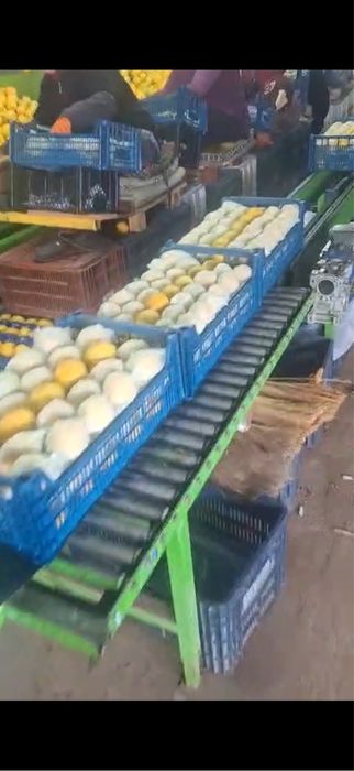 Лимон турция с мерсина