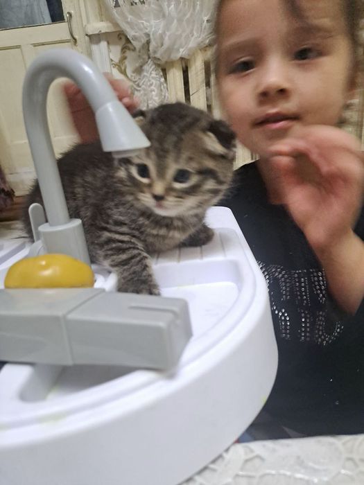 porno ona uy vazifasi