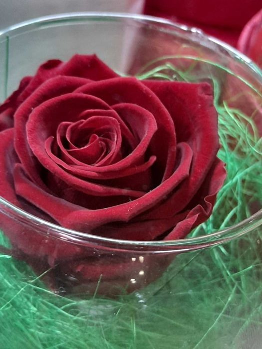 Вечна роза в стъкло – Подарък, който остава завинаги