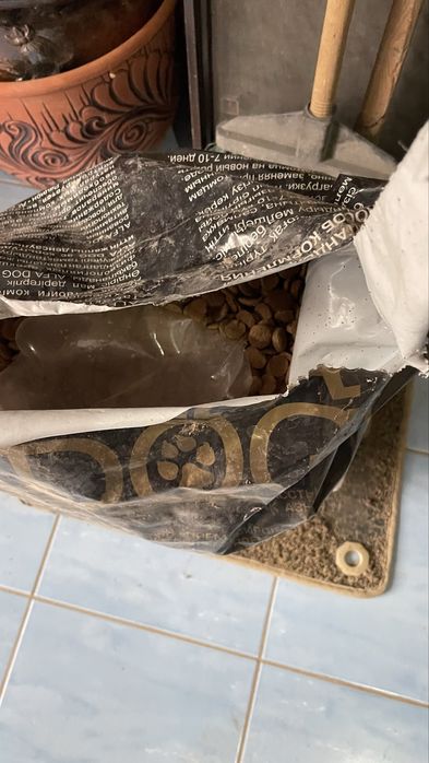 Корм для собак альфа дог