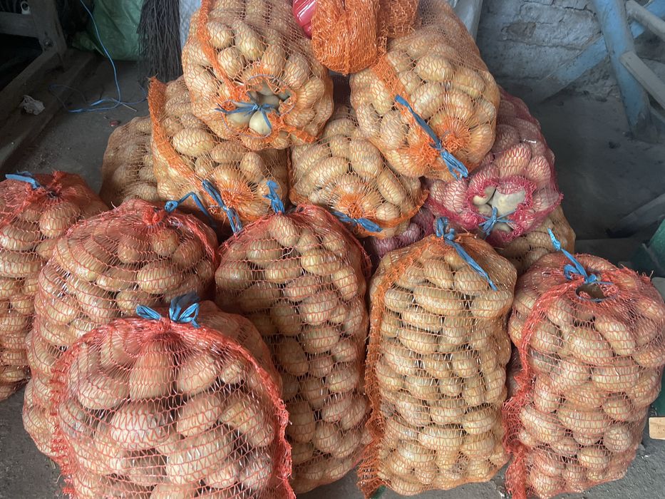 Vand cartofi pentru animale