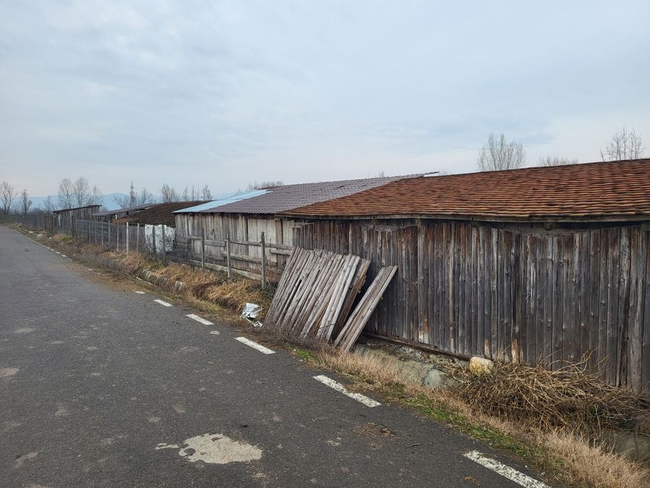 Vand ferma in Jud Arad