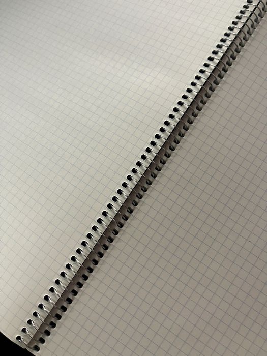 Тетрадь Silwerhof «Shadow forest», А4, 80 листов, клетка