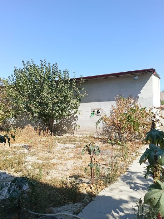 Dacha sotiladi  plem savhozdan utganda hama sharoeiti bor