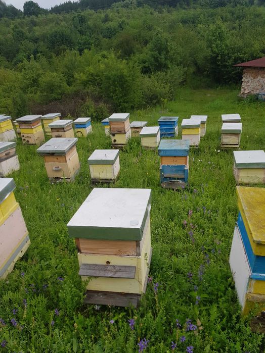 Продавам панорамен имот от 8 000 кв.м
