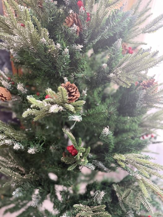 Продам красивую ёлку!