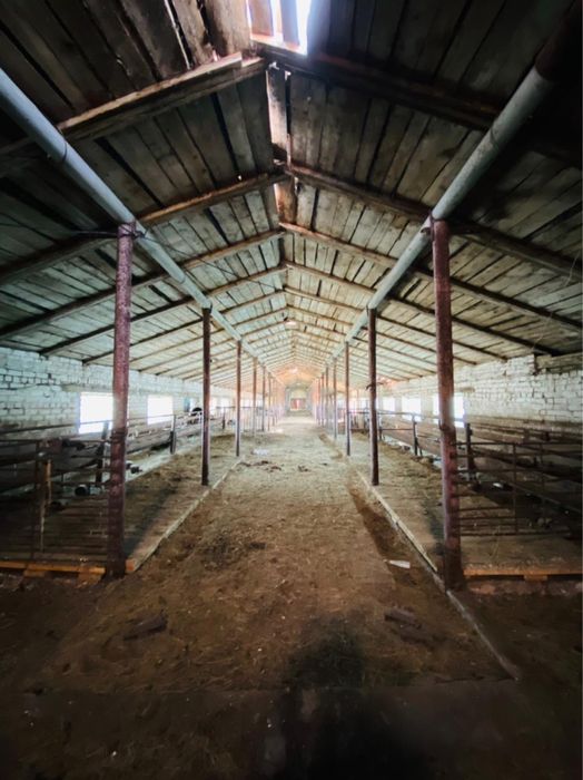 Продам Крестьянское Хозяйство