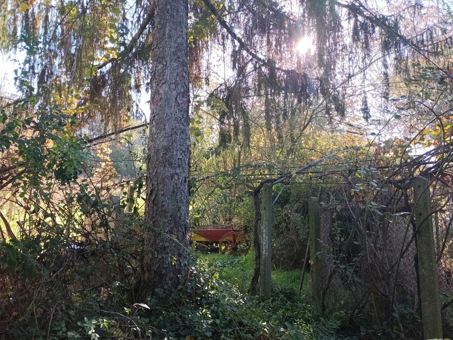 КЪЩА с  Баня Т.  +Двор и Други  СГРАДИ в Алфатар НИСКА Цена !