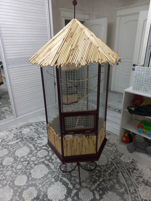 Валер Кафас кушлар учун