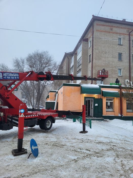 Спил Обрезка деревьев