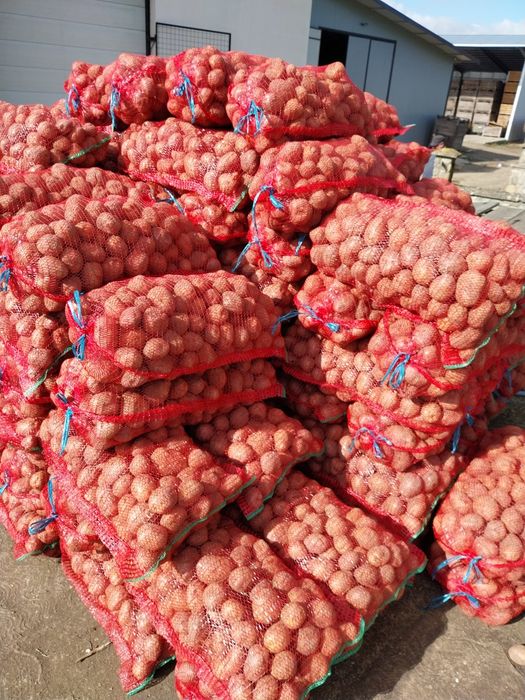 Vând Cartofi consum alb și roz