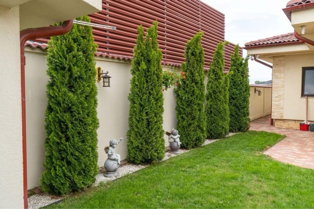 Ofer spre vanzare o vila moderna de lux zona Str. Dara