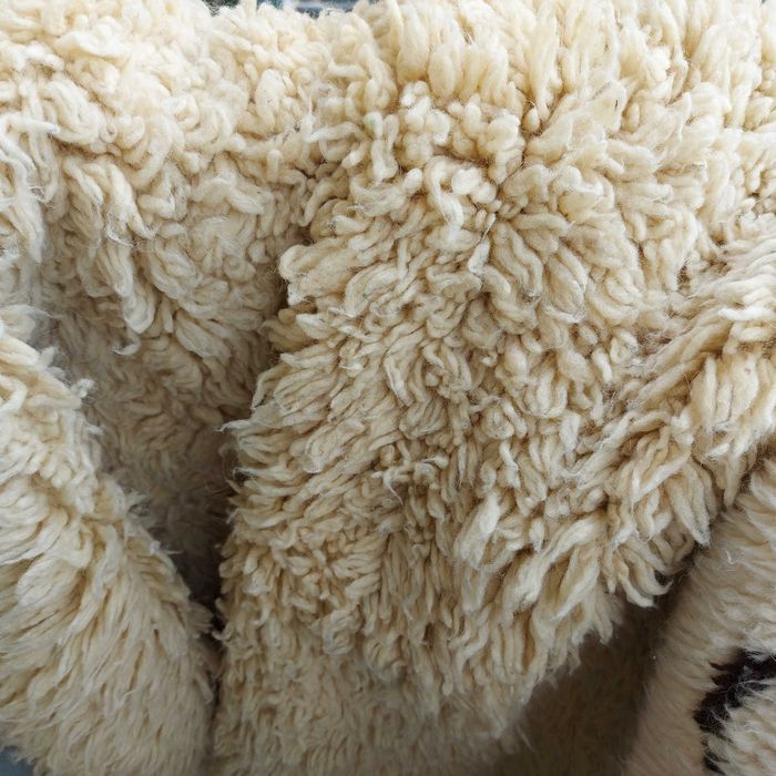 Красиви родопски губери,  китеници