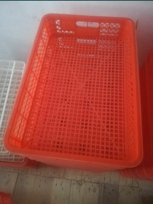 инкубатор inkubator