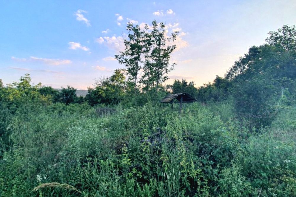 Продава се Парцел в Габрово, Трендафил 1 - 1265 кв.м за 11 €/кв.м - Снимка #5