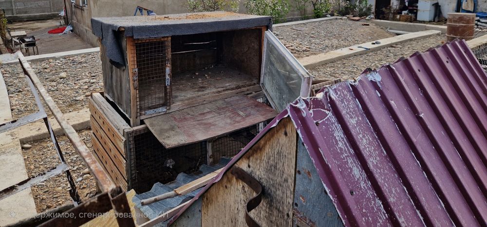 Кролятник и цыплятник