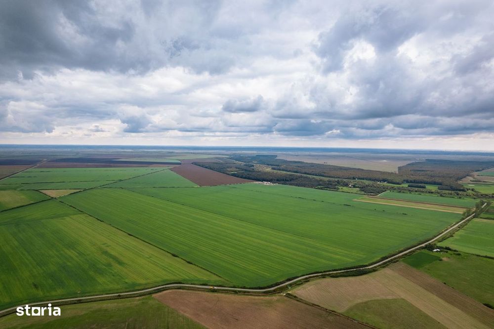 Teren arabil de 1299 hectare în Iași