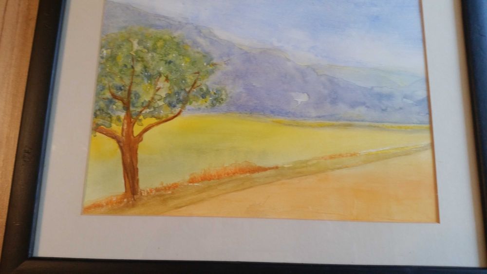 Прекрасен пейзаж. В чудесна рамка със стъкло отпред. Има и паспарту.