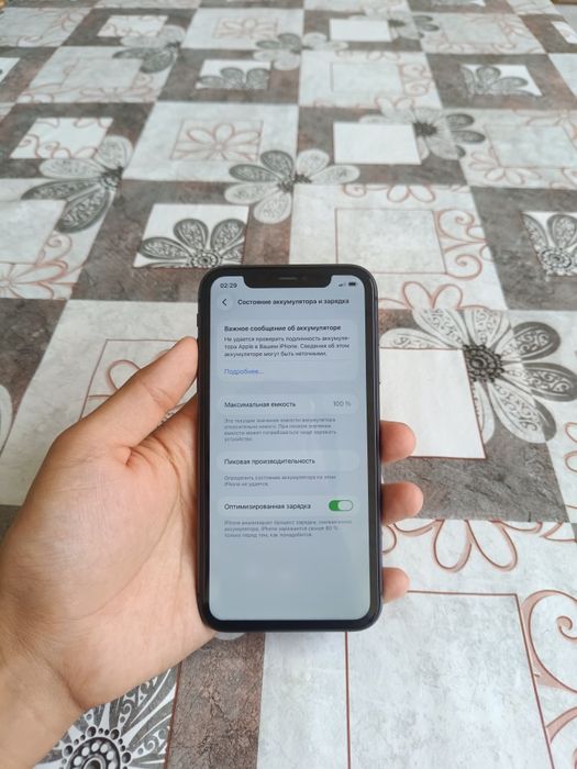 Iphone 11 (256 gb)