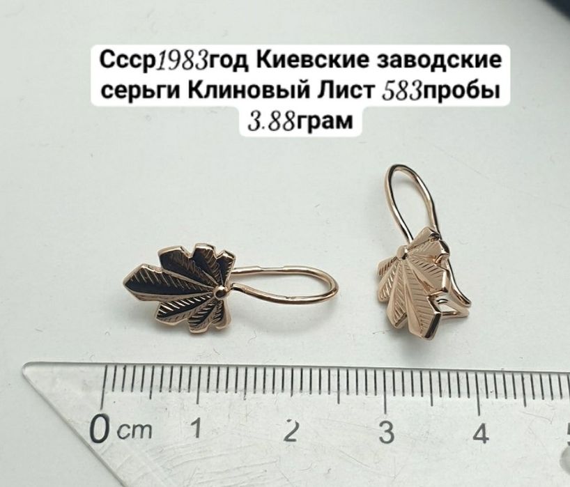 Ссср1983год Киевские заводские серьги Клиновый Лист 583пробы 3.88грам