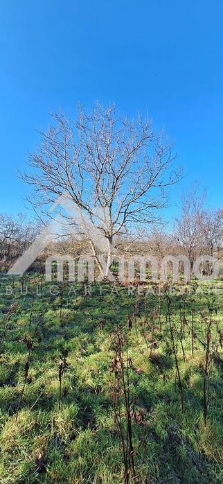 Продава се Къща в с. Водица, Област Варна - 80 кв.м за 223 €/кв.м - Снимка #5