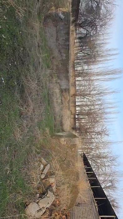 Сотувга чорва учун ферма