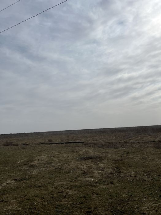 Шорнак Сауран поля