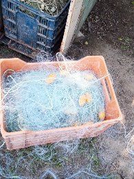 Продавам трал и мрежи за хамсия и кефал.