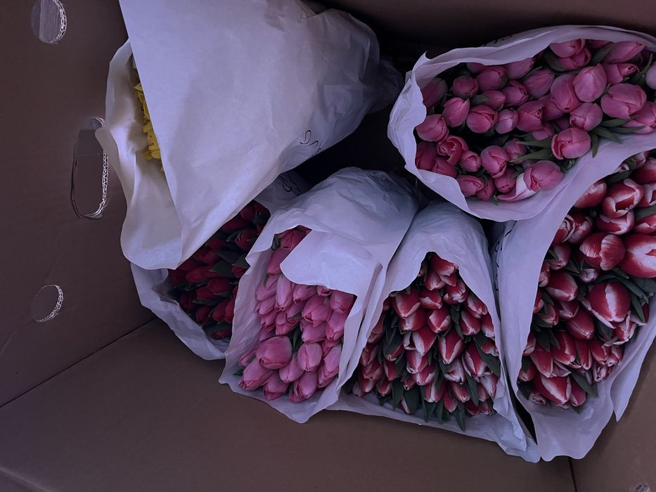 Тюльпаны оптом и в розницу усть каменагорск доставка голландские