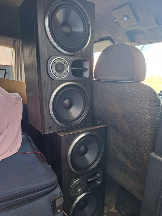 Тонколони сони оргинални