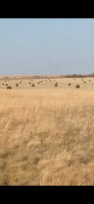 Продаётся КХ 206гек