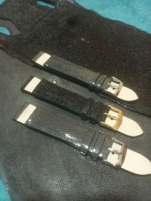 Curele ceas din pisica de mare