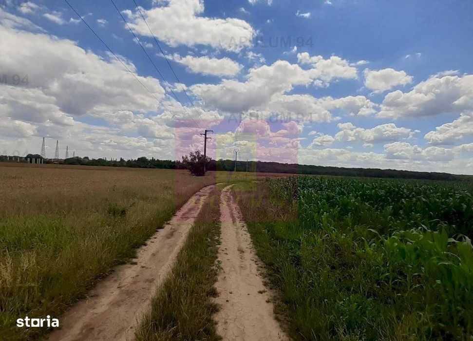 Teren 715mp în Snagov lângă Equestria