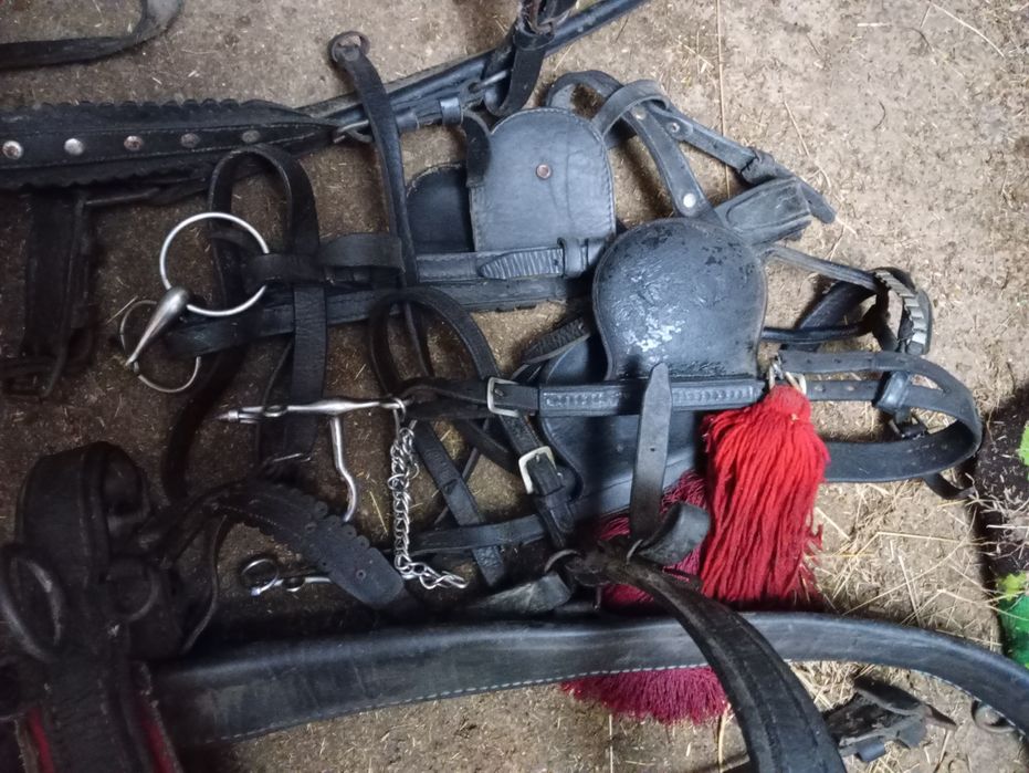 De vânzare o pereche de hamuri  complete  plus aturi de 2 caii