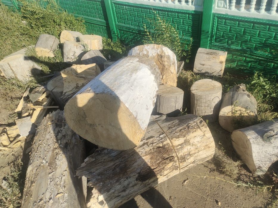Дрова продам сухие чурки