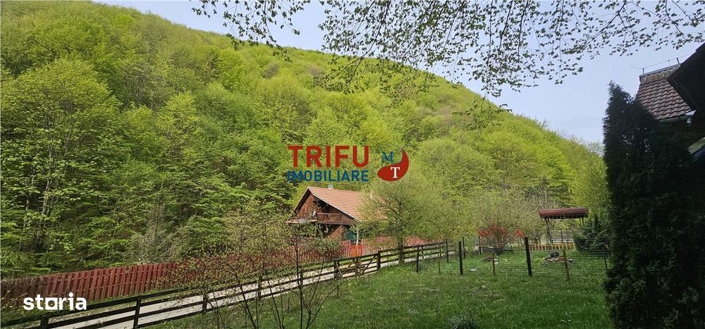 Casă de vacanță la pădure | Teren 891 mp | Valea Ighielului