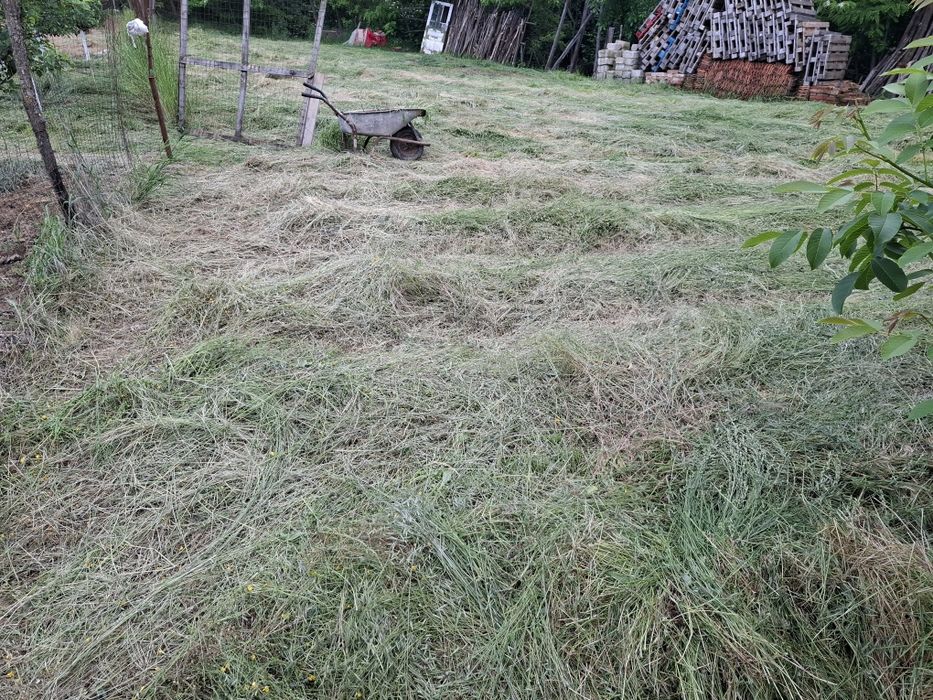 Baloti dreptunghiulari otava de livadă