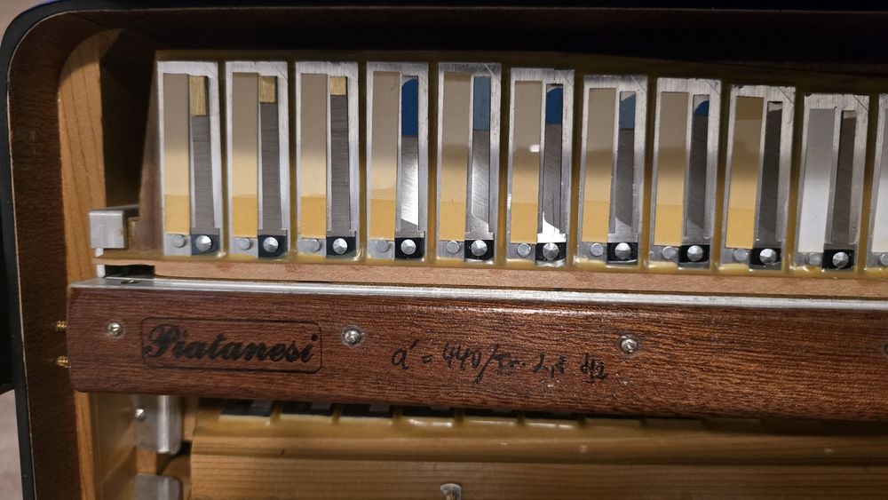 Acordeon Bicanto Piatanesi 2+2 Cassotto A Mano Nou