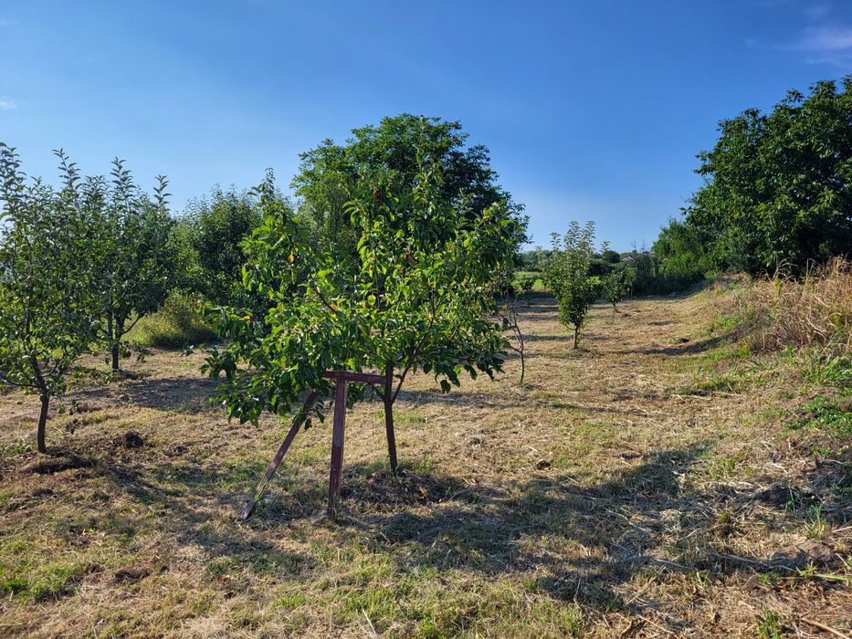 Vând casă lângă Craiova Simnicu de Sus  sat Izvor.