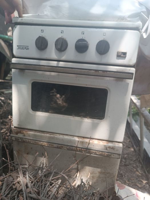 Elektor plita газ плита