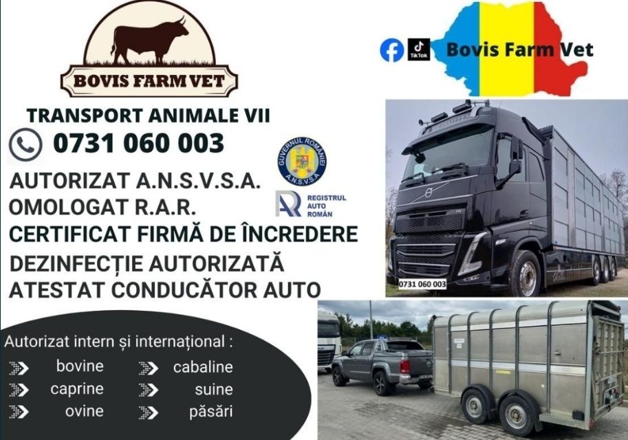 Transport Animale Vii