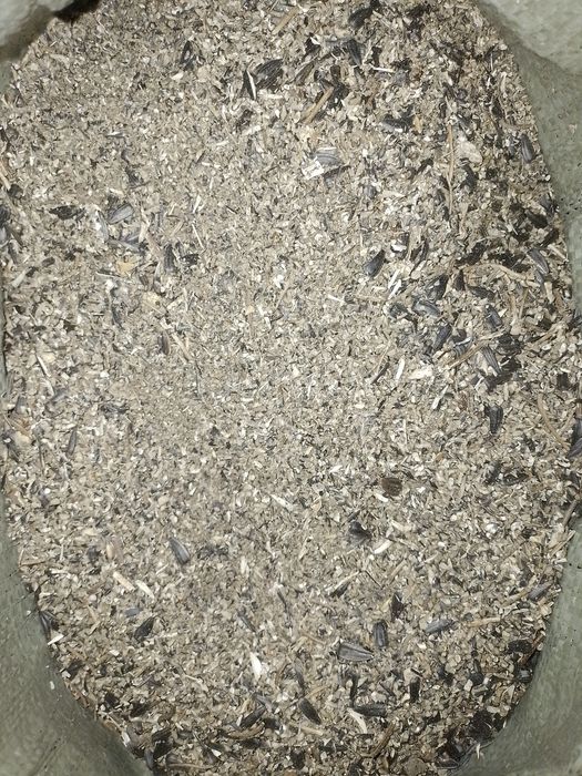 Жем отход семечки