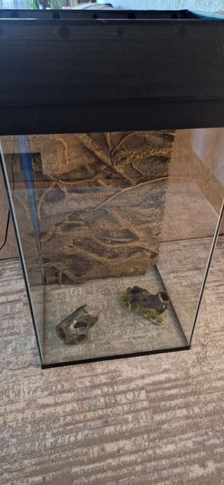 Продам террариум