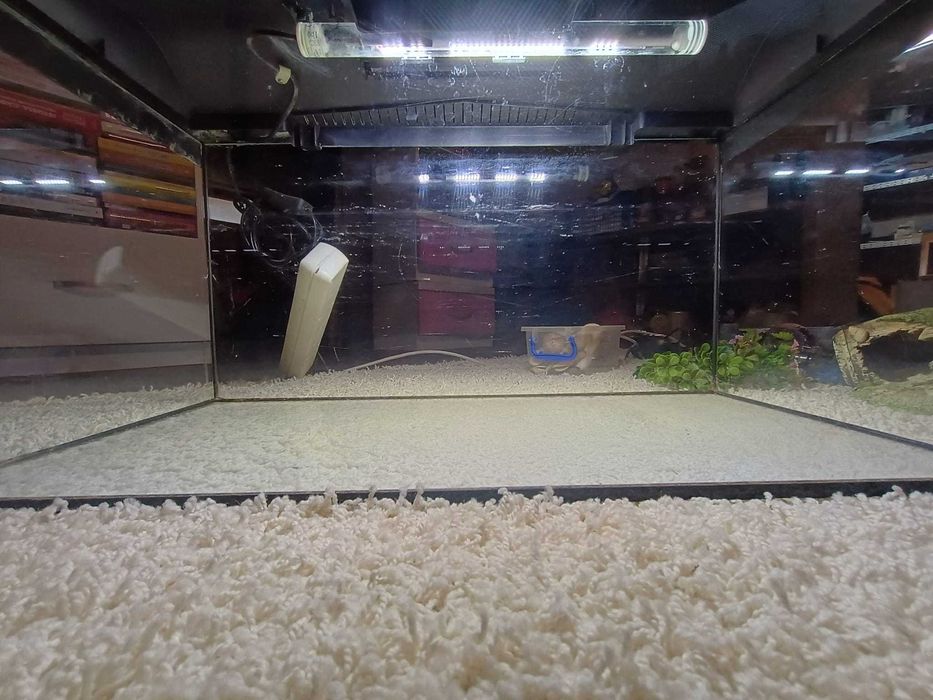 Acvariu cu toate accesoriile